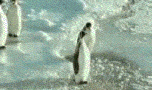 7ee635c1abc7b12147eb9.gif