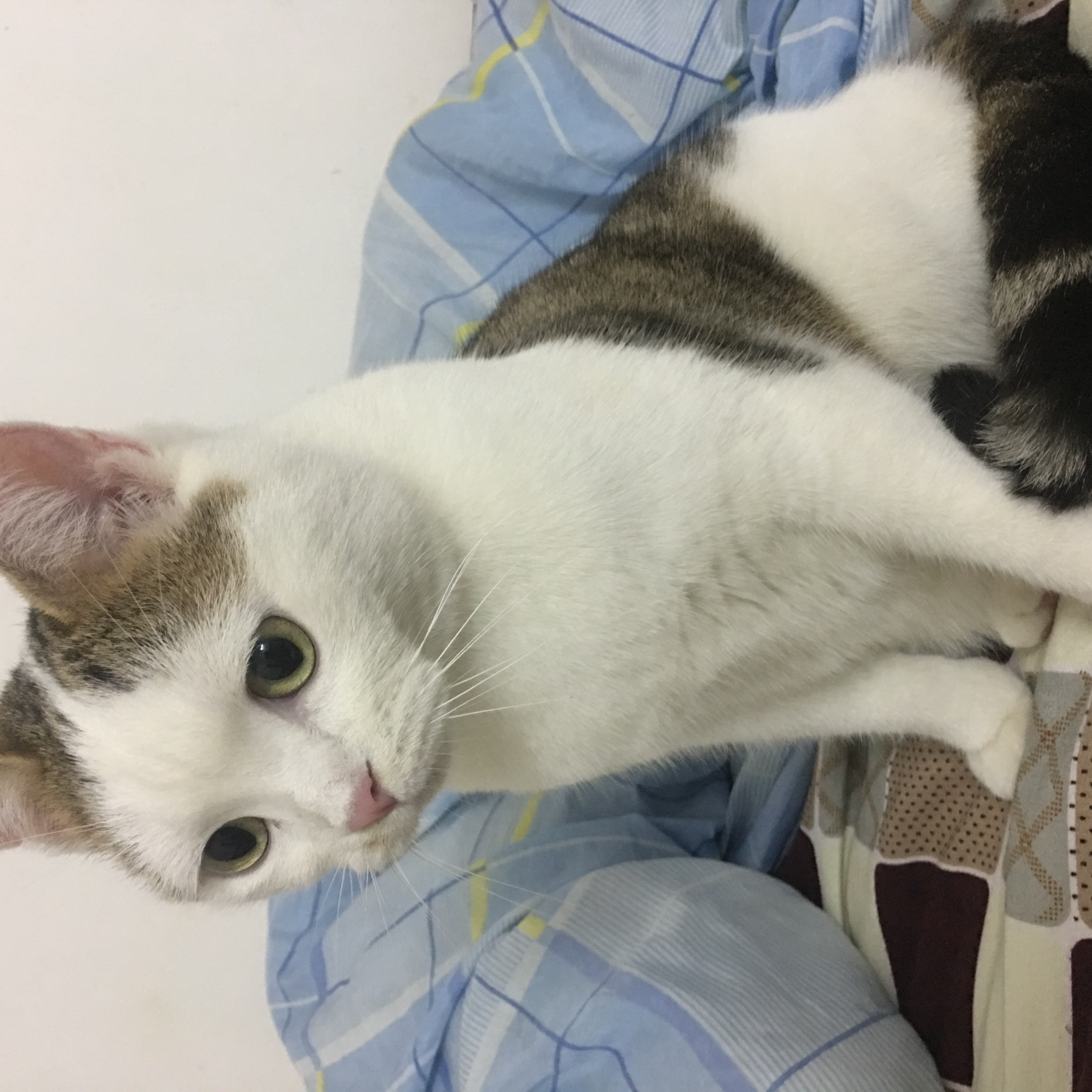 a306ab35693dc7258f5d7.jpg